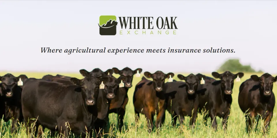 White Oak Exchange: Four Systems Replaced with One Laravel App